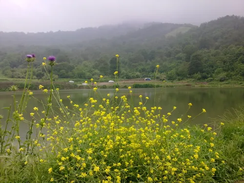 ایران عزیز...استان گلستان...شهر من گرگان... روستای توشن