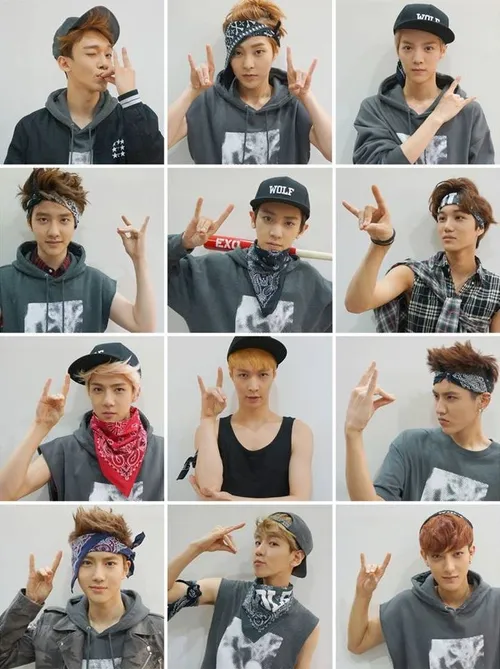 exo ot12