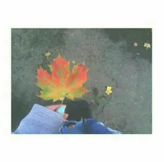 برگ پاییزی