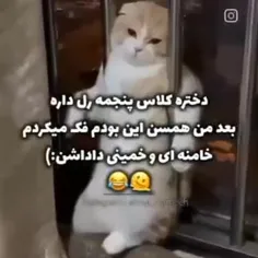 این تا ناموس حقهه😂