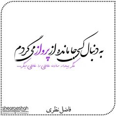 فاضل نظری