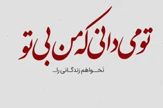 هنرمندان ایرانی amirnaderi 22823321