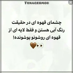 چشم قهوه ای دستا بالا