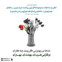 ﷽ 🌼  #امام_زمان_حجت_خدا