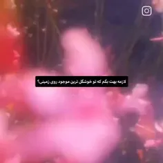 لازمه بگم؟؟