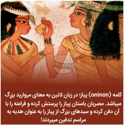اهمیت سیر و پیاز در مصر باستان به حدی بود که تاریخ طبیعی 