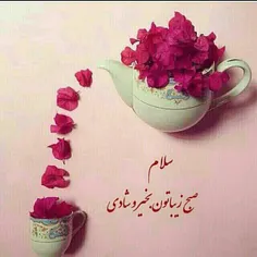 سلام،صبح بخیر ،روز خوبی برای شما آرزو دارم @