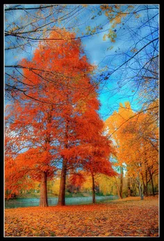 رنگ پاییز