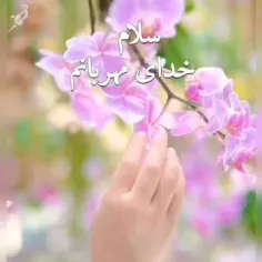 امیدوارم امروز و هر روز🍂🌸