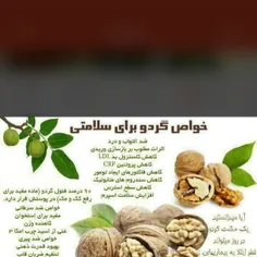 خوراکی atefeh-jamaliyan 4205839