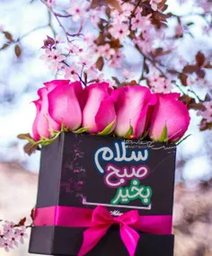 ⚘الـهی امـروز