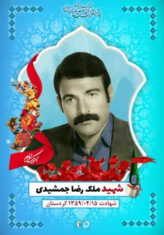 سردار پاسدار شهید ملک رضا جمشیدی