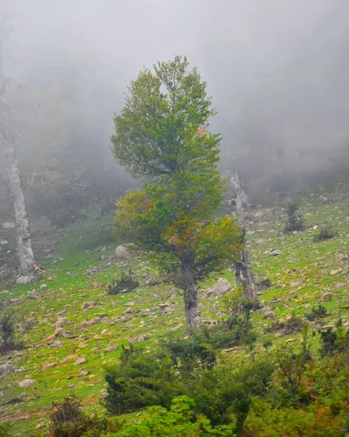 طبیعت زیبا در حواشی جاده اسالم به خلخال 🍀☘🌹