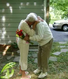 این مرد به مدت60سال هر صبح با یک دسته گل همسرش رو بغل میک