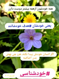 خودشناسی