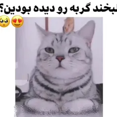 اوخی کیوت