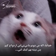 خدایااااااا ینییییی میشههههههههه🥺🥺🥺