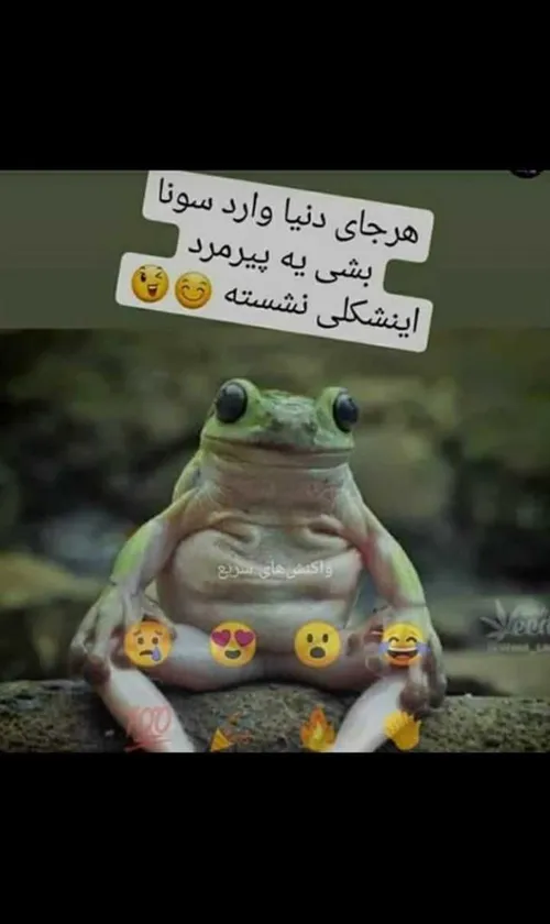 اقای چت