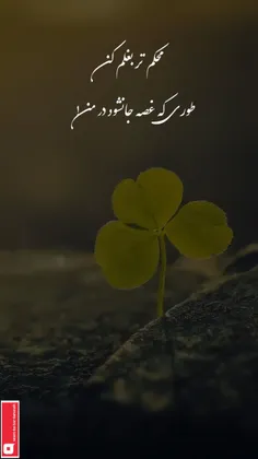 محکم تر بغل کن مرا 