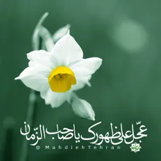 🍃 🌼 یابن الحسن(عج)🌼 🍃 