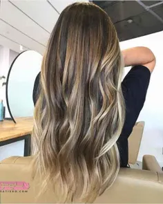 http://satisho.com/new-hair-color-98/