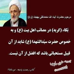 مرحوم حضرت #آیت_الله_محمدتقی_بهجت_ره :