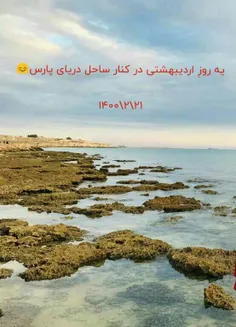 بر فراز  دریای ذهنم 