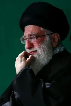 تا خامنه ای هست ما فتنه شناسیم