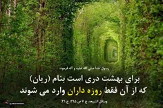 روزه