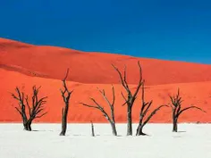 جزیره سکوت و گرما،،،نامیبیا