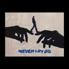 آهنگ "Never Let Go" تا به این لحظه صدرنشین آیتونز ۴۰ کشور
