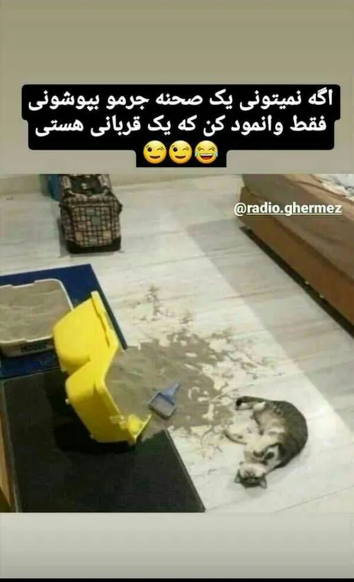 دقیقا✌😎