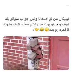 این کارو هممون کردیم به جز خرخونا🤣🖐