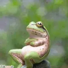روزگاره غریبیست..