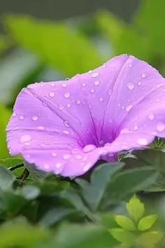 لایک و بازنشر فراموش نشه 