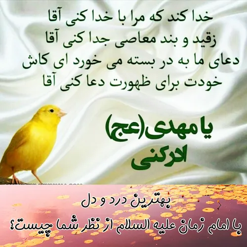 یا مهدی ادرکنی