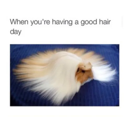 goOd hair