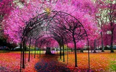 عاشقانه ها mahboobehpop 1002398