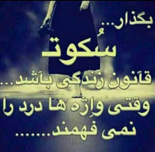 پروانه شدم ، بال زدم ، سوخت دو بالم