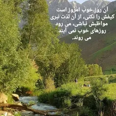 صبح شده است و نهیب می‌زند