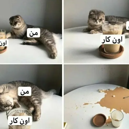 حقققققق