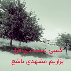 اگه کسی پایه ی قرار باشه بیام بریم دور دور البته اگه دلشو