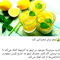 همیشه سبز با طراوت شاداب *Arvij *