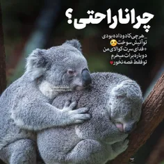 ناراحت نباش کوالای‌ من