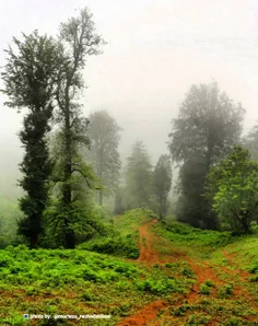 #گیلان زیبا ، ارتفاعات واجارگاه ، کلاچای