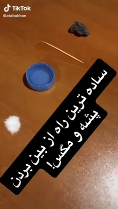 ساده ترین راه از بین بردن مگس وپشه.😂😃😁😀😄