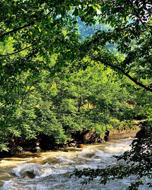 🌱بهترین روز زندگی ات خواهد بود