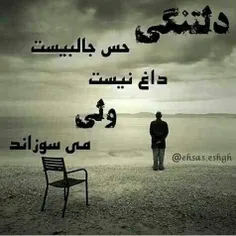 به هوایت بگو ب سرم نزند...من.. سرم درد میکند...