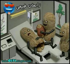 خخخخخ