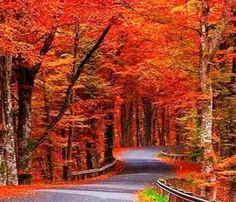 در جاده پاییز 
